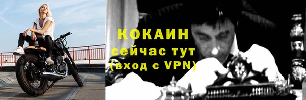 стафф Надым