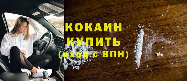стафф Надым