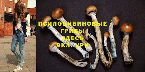 стафф Надым