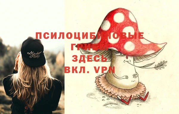 дживик Наволоки