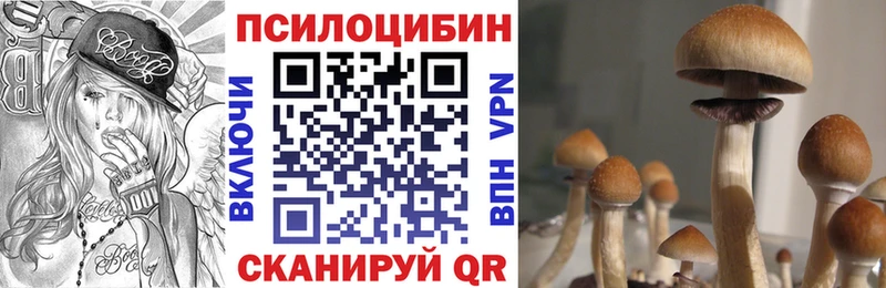 Псилоцибиновые грибы Magic Shrooms  Щучье 